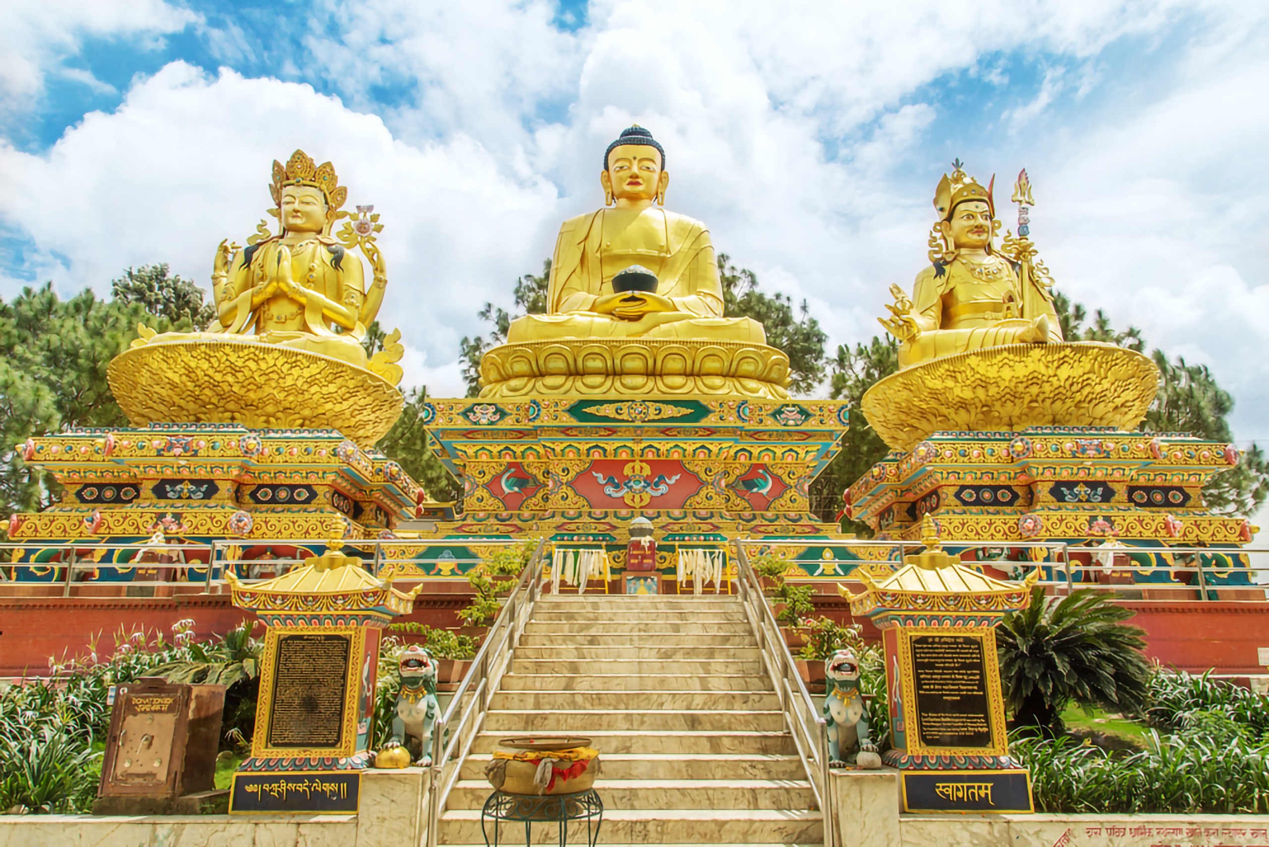 AD4668BC-6BC7-47FF-AC6B-AA26ABC2BD98