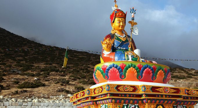 lien-hoa-sinh-2