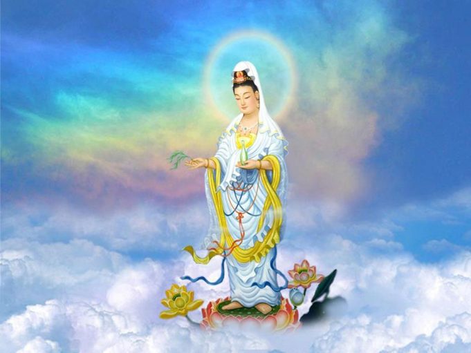 y-nghia-canh-duong-lieu-va-tinh-binh-1-2336