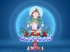 Con đường Kim Cương Thừa sử dụng nhiều kỹ thuật để tịnh hóa