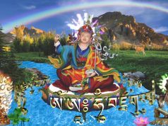 Bốn khía cạnh của vô lượng tâm
